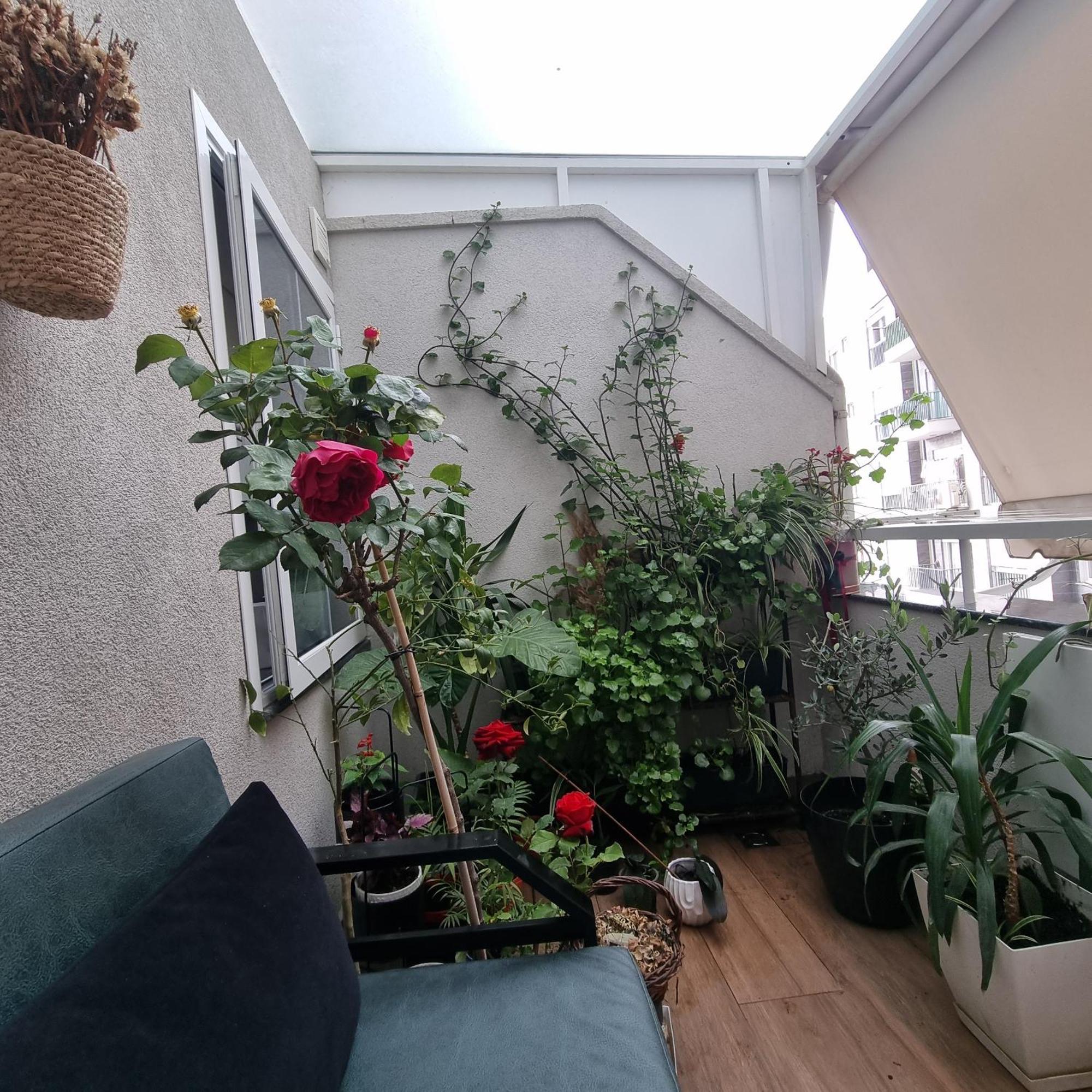 Emeraldapartament Appartamento *